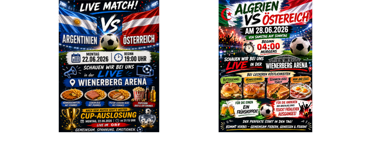 Permalink auf:Worldcup Live Wienerberg Arena